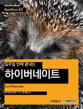 [리얼타임] 일주일 만에 끝내는 하이버네이트 표지 이미지
