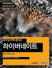 [리얼타임] 일주일 만에 끝내는 하이버네이트