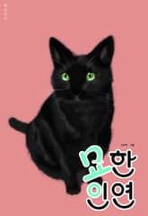 묘한 인연 표지 이미지