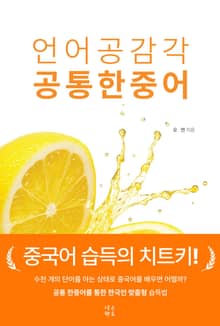 언어공감각, 공통한중어