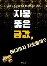 지붕 뚫은 금값, 어디까지 치솟을까 표지 이미지