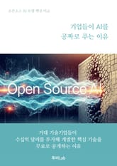 기업들이 AI를 공짜로 푸는 이유 표지 이미지