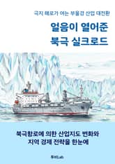 얼음이 열어준 북극 실크로드 표지 이미지