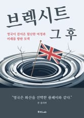 브렉시트 그 후 표지 이미지