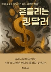 흔들리는 킹달러 표지 이미지