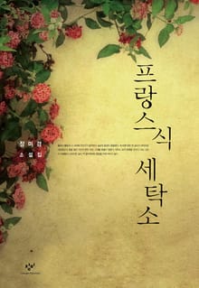 프랑스식 세탁소