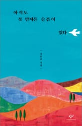 아직도 못 만져본 슬픔이 있다 표지 이미지