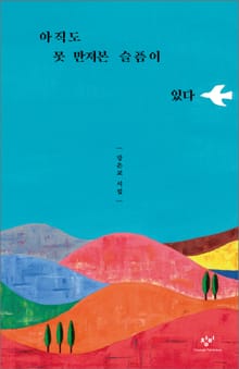 아직도 못 만져본 슬픔이 있다