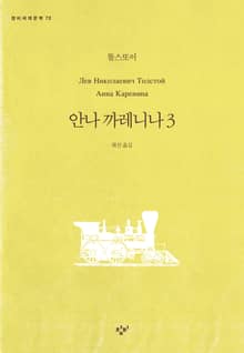 안나 까레니나 3