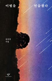 이별을 연습했다