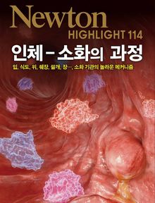 인체 소화의 과정