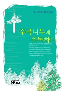 주목나무에 주목하다