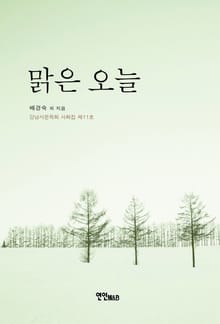 맑은 오늘