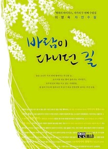바람이 다니던 길