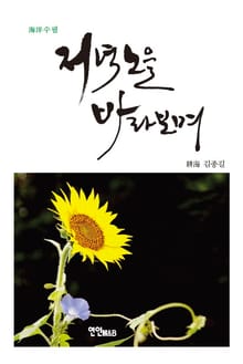 저녁 노을 바라보며