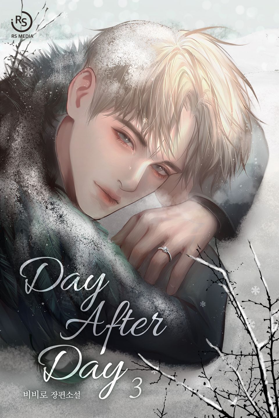 데이 애프터 데이(Day After Day) 3권 (완결)