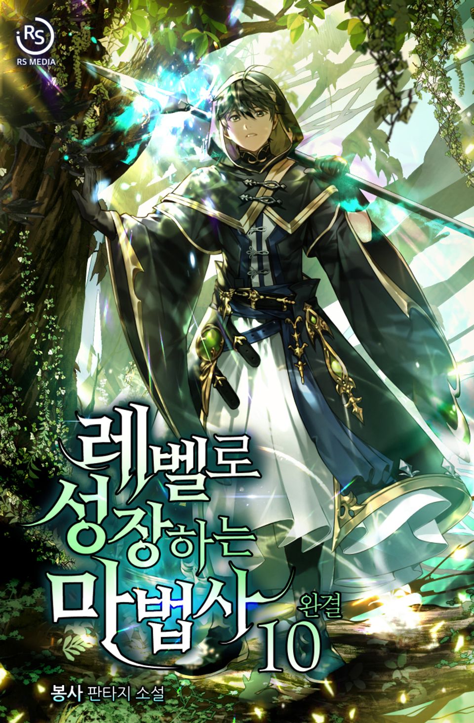 레벨로 성장하는 마법사 10권 (완결)