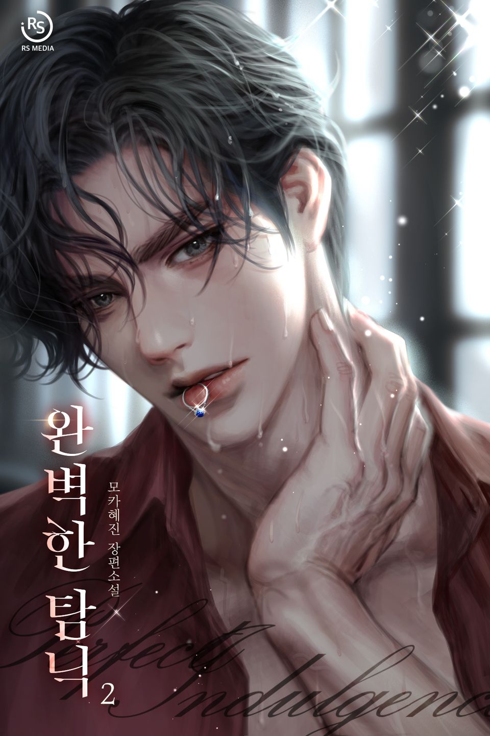 완벽한 탐닉 2권