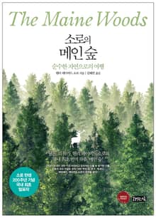 소로의 메인숲
