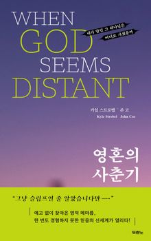 영혼의 사춘기