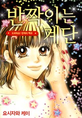 반짝이는 계단 표지 이미지