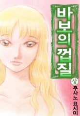 바보의 껍질 표지 이미지