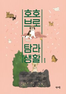 호호브로 탐라생활