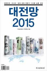 대전망 2015 표지 이미지