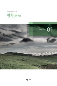 방황