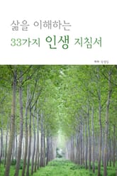 삶을 이해하는 33가지 인생 지침서 표지 이미지