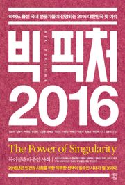 빅 픽처 2016