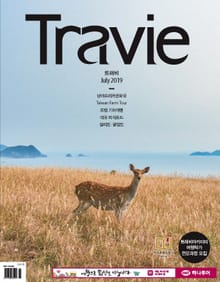 월간 Travie 2019년 07월호