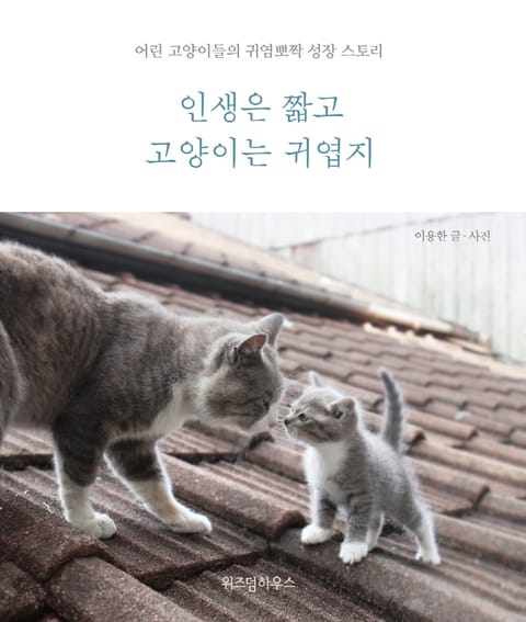 인생은 짧고 고양이는 귀엽지 표지 이미지