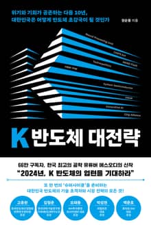 K반도체 대전략