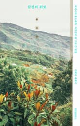 잠정의 위로 표지 이미지