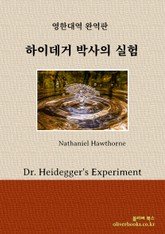 하이데거 박사의 실험 표지 이미지