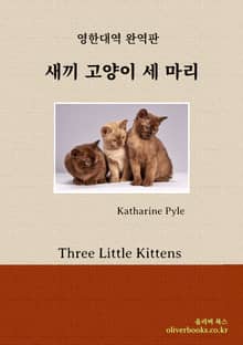 새끼 고양이 세 마리