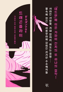 드래곤 플라이