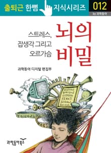 뇌의 비밀 : 스트레스 잡생각 그리고, 오르가슴