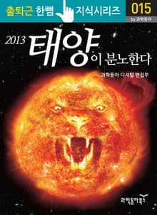 2013년 태양이 분노한다