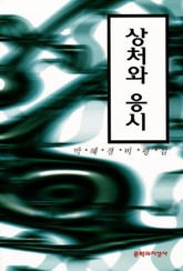 상처와 응시 표지 이미지