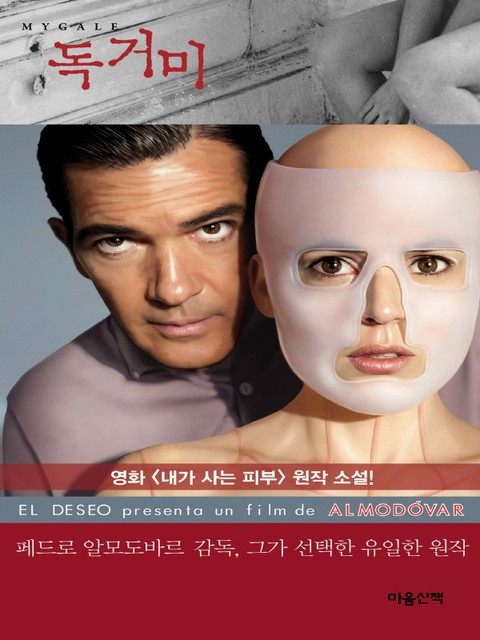 독거미 표지 이미지