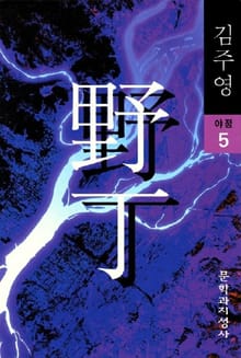 야정 5 (완결)