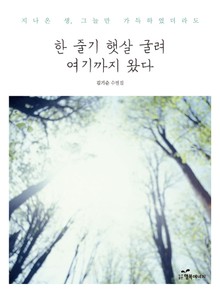 한 줄기 햇살 굴려 여기까지 왔다
