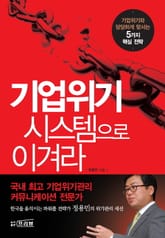 기업위기 시스템으로 이겨라 표지 이미지