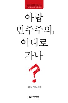아랍 민주주의, 어디로 가나