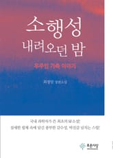소행성 내려오던 밤 표지 이미지