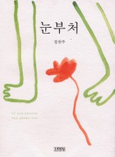 눈부처 표지 이미지