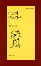 시간의 부드러운 손 표지 이미지