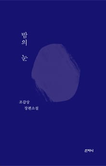 밤의 눈